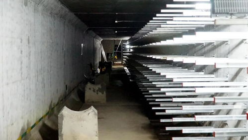 打造城市“生命線”，東海岸新城綜合管廊全面啟動(dòng)機(jī)電設(shè)備安裝